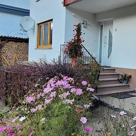 باد كارلسهافن Ferienwohnung Landradler المظهر الخارجي الصورة